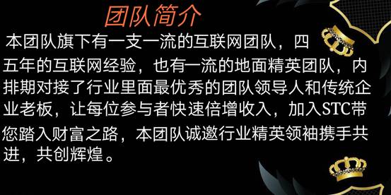 收入证明_指导手收入(2)